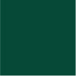 RAL 6005