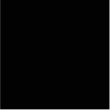 RAL 9005
